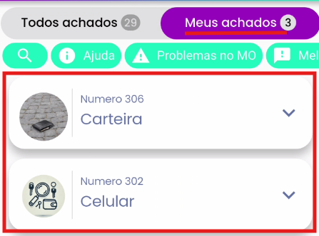 Acesso Achados & Perdidos