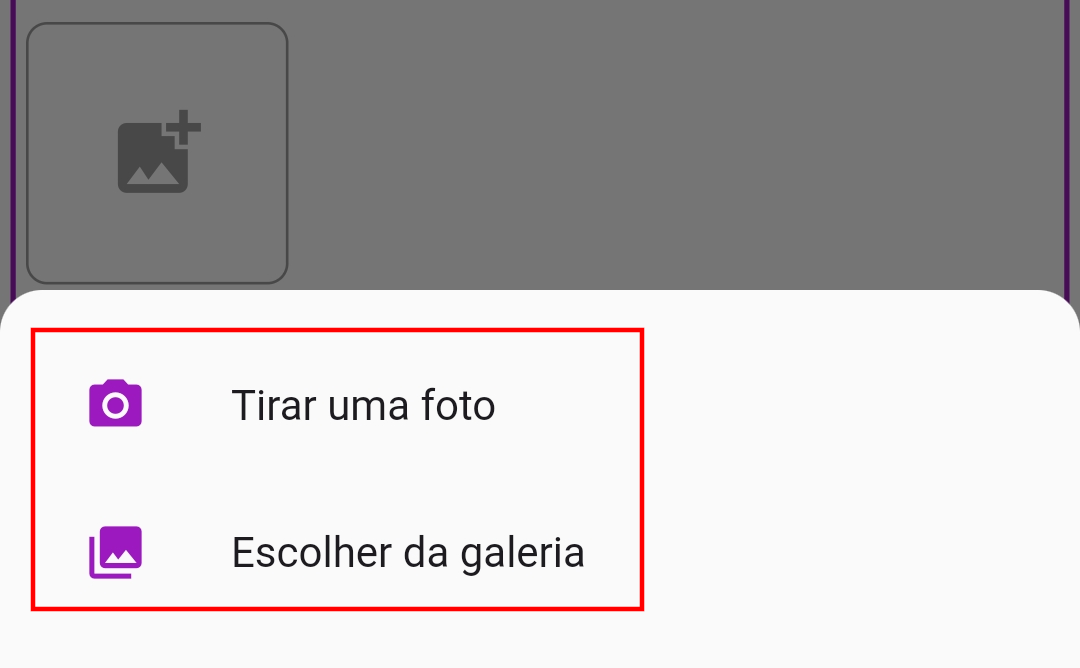 Menu de opções do sistema para escolher entre Câmera ou Galeria de fotos.
