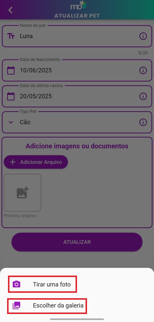 Seção do formulário para adição de foto do pet.