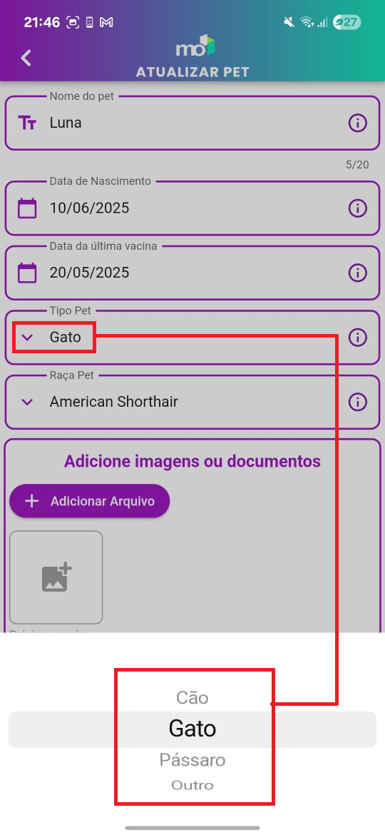 Dropdown de tipos de pet aberto mostrando opções disponíveis.